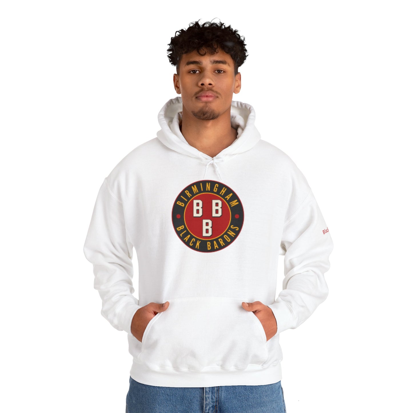 - Birmingham Black Barons Black Zone Unisex Heavy Blend™ Hooded Sweatshirt